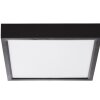 NOWA Puccy plafón LED cuadrado de superficie moderno, 3000 K, 1500 lm, 15 W