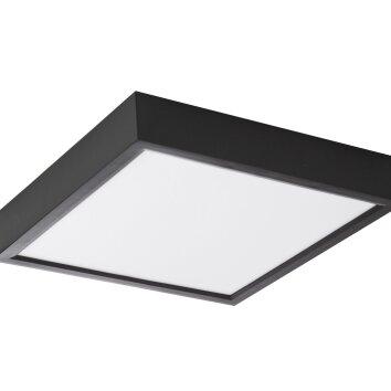 NOWA Puccy LED plafón de techo cuadrado 3000K 2400 lm 20W moderno minimalista