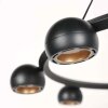 Steinhauer Marcadore LED lámpara colgante de aro redonda con 8 focos orientables