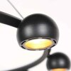 Steinhauer Marcadore LED lámpara colgante de aro redonda con 8 focos orientables