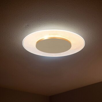 Steinhauer Lido plafón de techo LED redondo moderno compacto 28 cm 2700 K 1100 lm 12 W