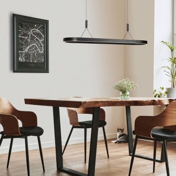 Steinhauer Mykty lámpara colgante para comedor LED 2 luces, ovalada, regulable, 120 cm