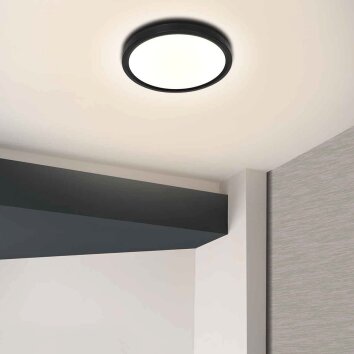 Steinhauer Luminix plafón LED redondo moderno Ø 29 cm para salón y dormitorio
