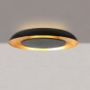 Steinhauer Plafón LED Golden Veil redondo y plano, regulable, 2700 Kelvin blanco cálido