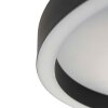 Steinhauer Ringlux plafón LED redondo de superficie 30 Watt 2700 Kelvin 3600 Lumen