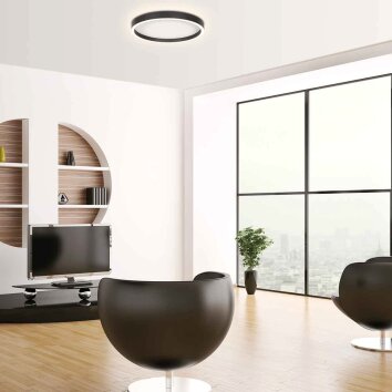 Steinhauer Ringlux plafón LED redondo de superficie 30 Watt 2700 Kelvin 3600 Lumen