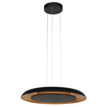 Steinhauer Golden Veil lámpara colgante LED redonda de 2 luces para comedor y salón