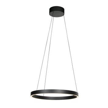 Steinhauer Mykty lámpara colgante aro LED regulable en altura ø 60 cm 2700 K 7800 lm