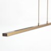 Steinhauer Colgante Zelena, LED, barra ajustable, memoria, luz ajustable 2200-4000 Kelvin