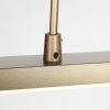 Steinhauer Zelena lámpara colgante LED lineal de 3 luces para isla de cocina
