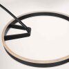 Steinhauer Ringlux lámpara de pie tipo arco LED regulable, moderna, de 2 luces