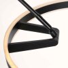 Steinhauer Ringlux lámpara de pie tipo arco LED regulable, moderna, de 2 luces