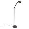 Steinhauer Ringlux lámpara de pie LED regulable moderna con 2 focos e interruptor