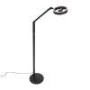 Steinhauer Ringlux lámpara de pie LED regulable moderna con 2 focos e interruptor