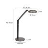 Steinhauer Ringlux lámpara de escritorio LED orientable, lámpara de lectura de 2 luces
