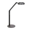 Steinhauer Ringlux lámpara de escritorio LED orientable, lámpara de lectura de 2 luces