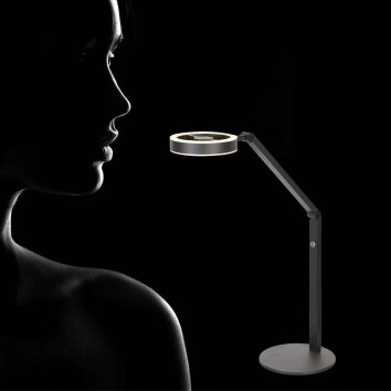 Steinhauer Ringlux lámpara de escritorio LED orientable, lámpara de lectura de 2 luces