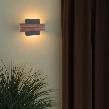 Steinhauer Muro aplique mural moderno, aplique de pared 2 luces G9 2700K 600 lm