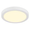 Globo Luno plafón LED redondo moderno, lámpara de techo LED 24 W 3000 K 2640 lm