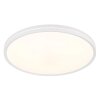 Globo Dwain plafón de techo LED redondo con mando a distancia, 2400 lm 2700-6500 K