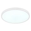 Globo Dwain plafón de techo LED redondo con mando a distancia, 2400 lm 2700-6500 K