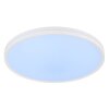 Globo Dwain plafón de techo LED redondo con mando a distancia, 2400 lm 2700-6500 K