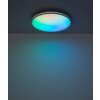 Globo Dwain plafón de techo LED redondo con mando a distancia, 2400 lm 2700-6500 K