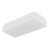 Globo Donte plafón LED rectangular, lámpara de techo moderna para salón y pasillo