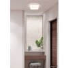 Globo Donte plafón de techo LED cuadrado moderno para pasillo y cocina
