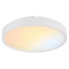 Globo Jess plafón LED redondo de superficie para techo 1800-12000K 4600lm 50W CCT