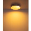 Globo Jess plafón LED redondo de superficie para techo 1800-12000K 4600lm 50W CCT