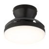 Globo Zavala plafón LED de techo redondo Ø 38 cm moderno con mando a distancia
