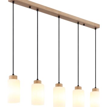 Globo Rowena lámpara colgante de 5 luces para comedor, cocina y salón, 100 cm
