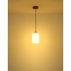 Globo Rowena lámpara colgante de techo cilíndrica de 1 luz para comedor y salón