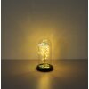 Globo Rosalina lámpara decorativa de mesa LED rosa bajo cúpula, 20 LEDs 2900 K 4 W