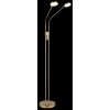Globo Silvio lámpara de pie LED moderna para salón y lectura 2 luces 173 cm