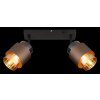 Globo Milley plafón de techo moderno de 2 focos E27 40 Watt para comedor y pasillo