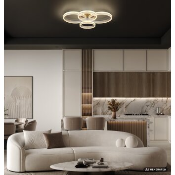 Globo Francine lámpara de techo LED moderna de aros para salón y comedor