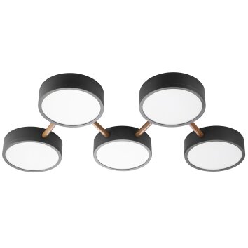 NOWA Diego plafón de techo LED redondo moderno de 5 focos para comedor y pasillo