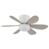 Globo Delores ventilador de techo LED con luz y mando a distancia, moderno