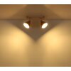 Globo Lyndon doble foco de techo de 2 luces E14 40 vatios estilo moderno para interior