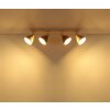 Globo Lyndon lámpara de techo de 4 luces, foco de techo moderno para comedor