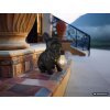 Globo DOGLI Lámpara solar de perro LED, figura decorativa exterior para jardín