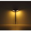 Globo VOTARO aplique solar de pared LED con sensor de movimiento para exterior