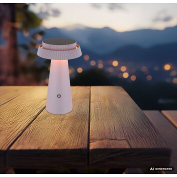 Globo MIRALIE lámpara solar LED redonda de exterior para jardín y caminos
