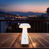 Globo MIRALIE lámpara solar LED exterior de mesa redonda para caminos 400 lm 4 W