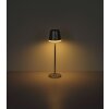 Globo VANNIESO lámpara solar de mesa exterior LED con interruptor para terraza moderna