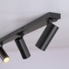 SCHÖNER WOHNEN-Kollektion RIK lámpara de techo de 3 focos orientables