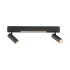 SCHÖNER WOHNEN-Kollektion DANTE plafón de techo de 2 luces focos orientables GU10