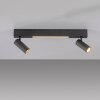 SCHÖNER WOHNEN-Kollektion DANTE plafón de techo de 2 luces focos orientables GU10